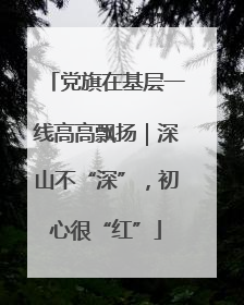 党旗在基层一线高高飘扬｜深山不“深”，初心很“红”