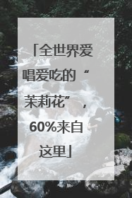 全世界爱唱爱吃的“茉莉花”，60%来自这里