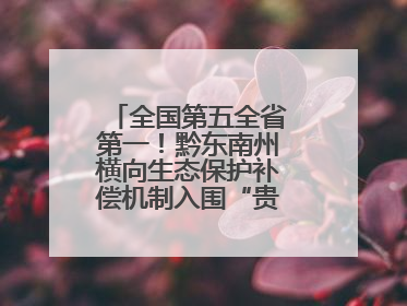 全国第五全省第一！黔东南州横向生态保护补偿机制入围“贵州改革奖”