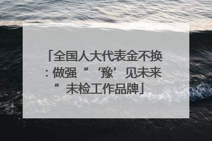 全国人大代表金不换：做强“‘豫’见未来”未检工作品牌