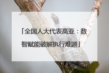 全国人大代表高亚：数智赋能破解执行难题