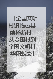 全国文明村镇临邑县前杨新村：从贫困村到全国文明村华丽蜕变