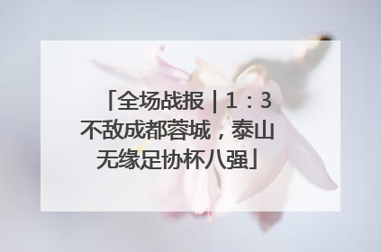 全场战报｜1：3不敌成都蓉城，泰山无缘足协杯八强