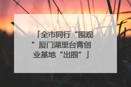 全市同行“围观”厦门湖里台青创业基地“出圈”