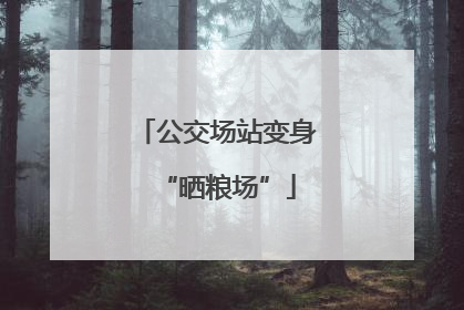 公交场站变身“晒粮场”