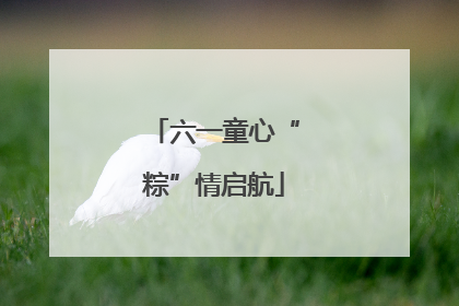 六一童心“粽”情启航