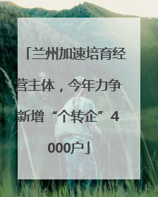 兰州加速培育经营主体，今年力争新增“个转企”4000户