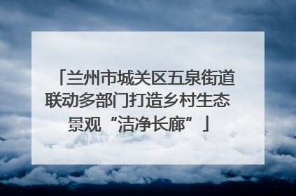 兰州市城关区五泉街道联动多部门打造乡村生态景观“洁净长廊”