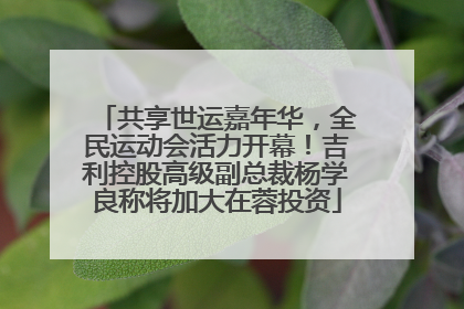 共享世运嘉年华，全民运动会活力开幕！吉利控股高级副总裁杨学良称将加大在蓉投资
