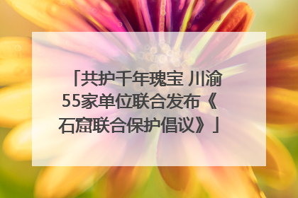 共护千年瑰宝 川渝55家单位联合发布《石窟联合保护倡议》