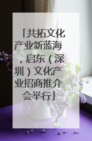 共拓文化产业新蓝海，启东（深圳）文化产业招商推介会举行
