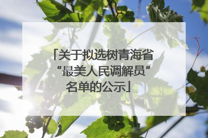 关于拟选树青海省“最美人民调解员” 名单的公示