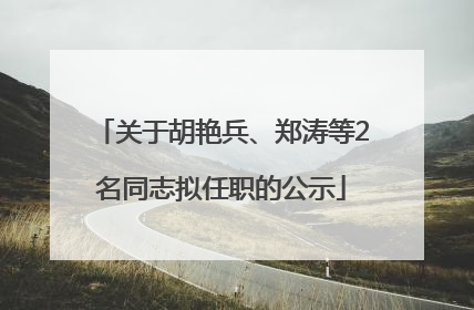 关于胡艳兵、郑涛等2名同志拟任职的公示