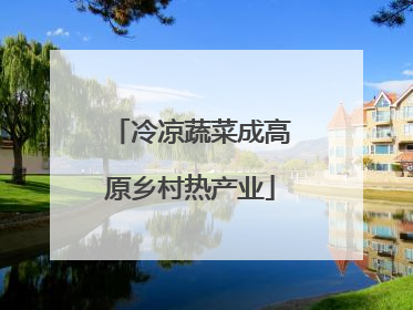 冷凉蔬菜成高原乡村热产业