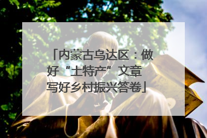 内蒙古乌达区：做好“土特产”文章 写好乡村振兴答卷
