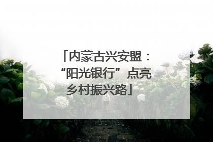 内蒙古兴安盟：“阳光银行”点亮乡村振兴路