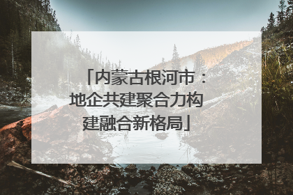 内蒙古根河市：地企共建聚合力构建融合新格局
