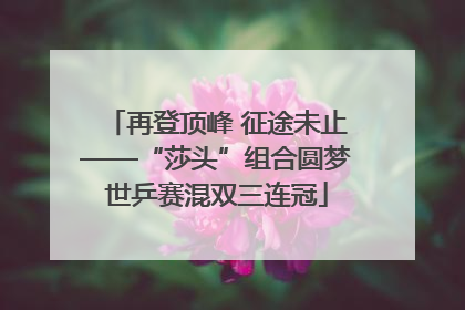 再登顶峰 征途未止——“莎头”组合圆梦世乒赛混双三连冠