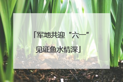 军地共迎“六一” 见证鱼水情深