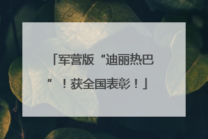 军营版“迪丽热巴”！获全国表彰！
