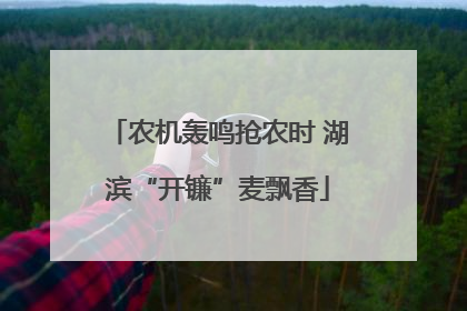 农机轰鸣抢农时 湖滨“开镰”麦飘香