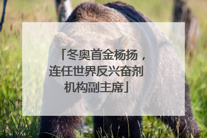 冬奥首金杨扬，连任世界反兴奋剂机构副主席