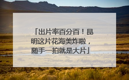 出片率百分百！昆明这片花海美炸啦，随手一拍就是大片