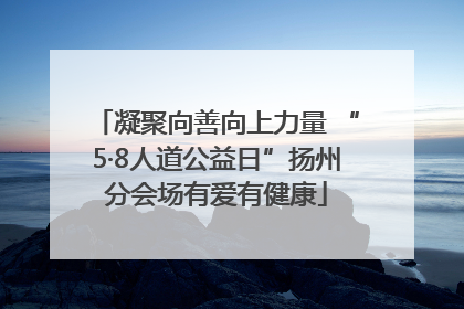 凝聚向善向上力量 “5·8人道公益日”扬州分会场有爱有健康