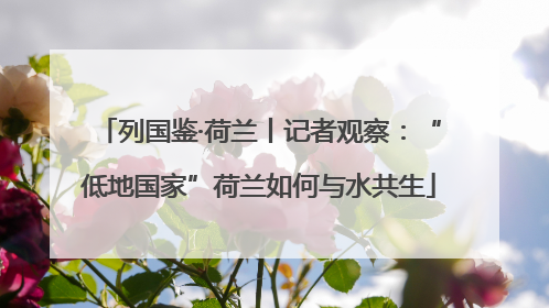 列国鉴·荷兰丨记者观察：“低地国家”荷兰如何与水共生