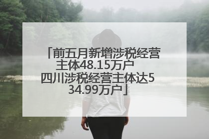 前五月新增涉税经营主体48.15万户 四川涉税经营主体达534.99万户