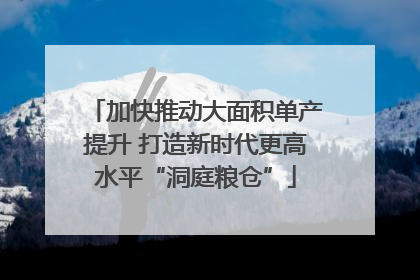 加快推动大面积单产提升 打造新时代更高水平“洞庭粮仓”