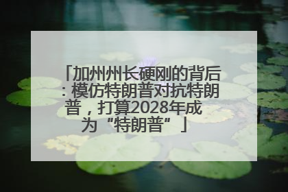 加州州长硬刚的背后：模仿特朗普对抗特朗普，打算2028年成为“特朗普”