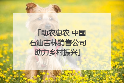 助农惠农 中国石油吉林销售公司助力乡村振兴