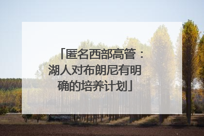 匿名西部高管：湖人对布朗尼有明确的培养计划