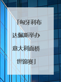 匈牙利布达佩斯举办意大利面桥世锦赛
