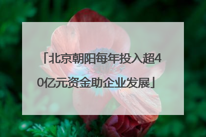 北京朝阳每年投入超40亿元资金助企业发展