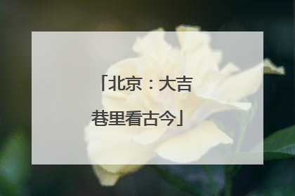 北京：大吉巷里看古今