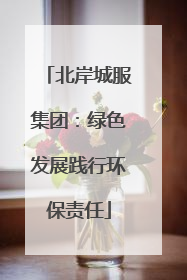 北岸城服集团：绿色发展践行环保责任