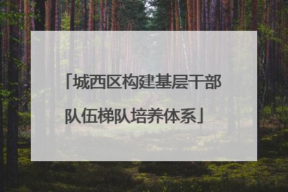 城西区构建基层干部队伍梯队培养体系