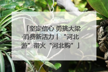 坚定信心 勇挑大梁·消费新活力丨“河北游”带火“河北购”