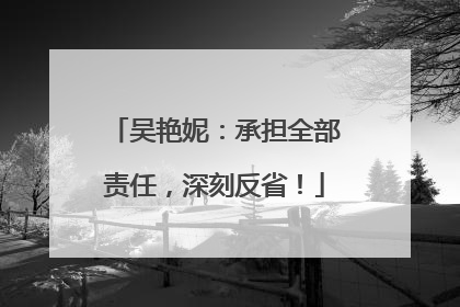 吴艳妮：承担全部责任，深刻反省！