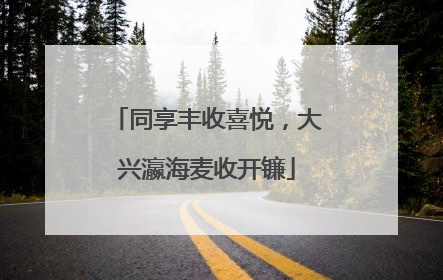 同享丰收喜悦，大兴瀛海麦收开镰