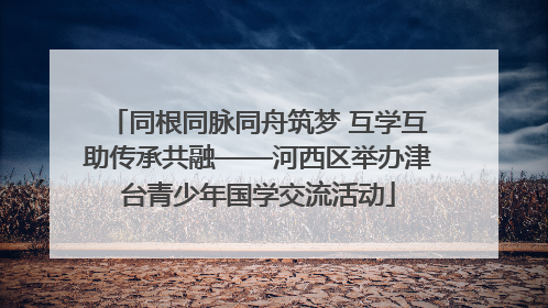 同根同脉同舟筑梦 互学互助传承共融——河西区举办津台青少年国学交流活动