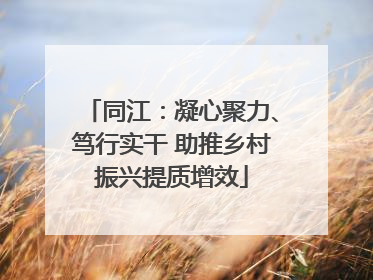 同江：凝心聚力、笃行实干 助推乡村振兴提质增效