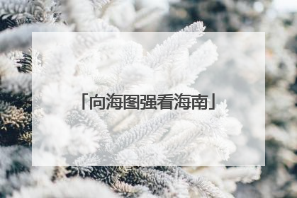 向海图强看海南