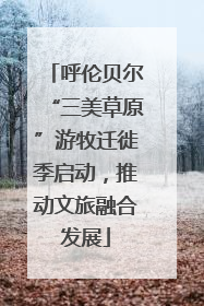 呼伦贝尔“三美草原”游牧迁徙季启动，推动文旅融合发展