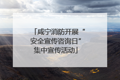 咸宁消防开展“安全宣传咨询日”集中宣传活动