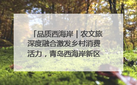 品质西海岸｜农文旅深度融合激发乡村消费活力，青岛西海岸新区的乡村振兴实践