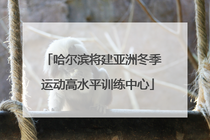 哈尔滨将建亚洲冬季运动高水平训练中心