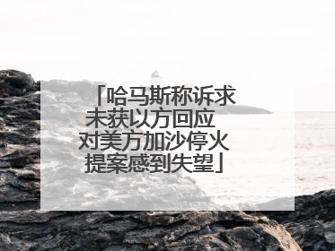 哈马斯称诉求未获以方回应 对美方加沙停火提案感到失望